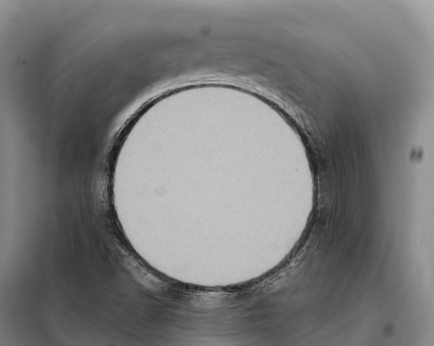 X0000098011502200804251102