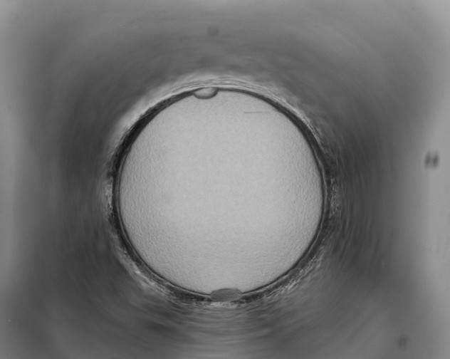 X0000098011503200804251102