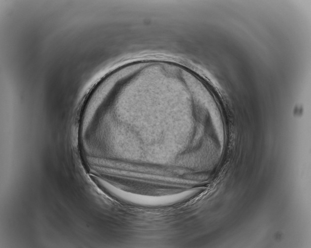 X0000098011504200804251102