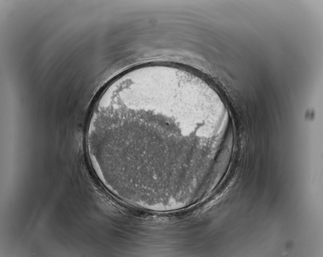 X0000098011505200804251102