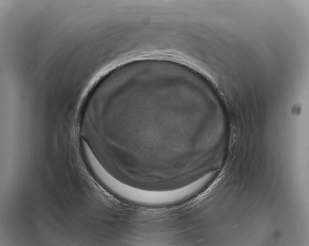 X0000098011506200804251102