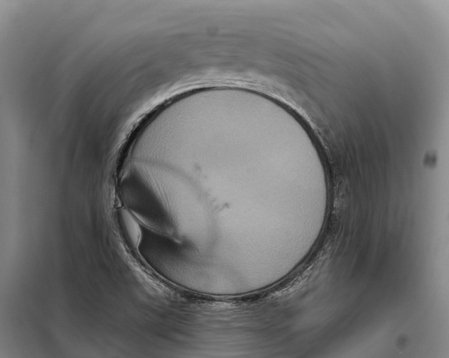 X0000098011507200804251102