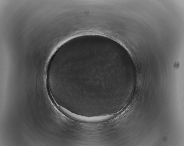 X0000098011508200804251102