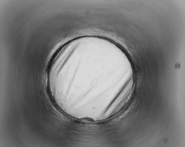 X0000098011509200804251102