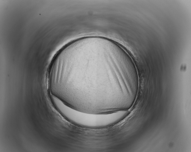 X0000098011510200804251102