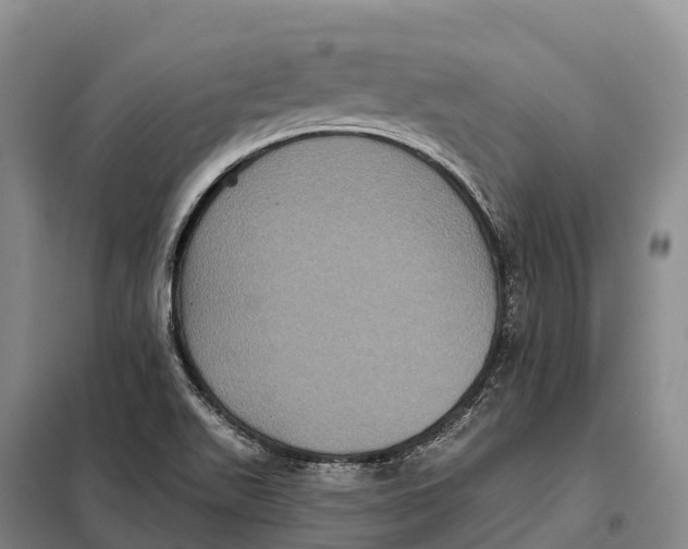 X0000098011511200804251102