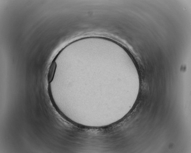 X0000098011512200804251102