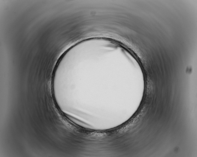 X0000098011513200804251102