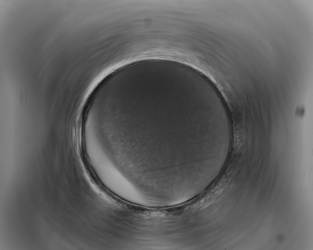 X0000098011515200804251102