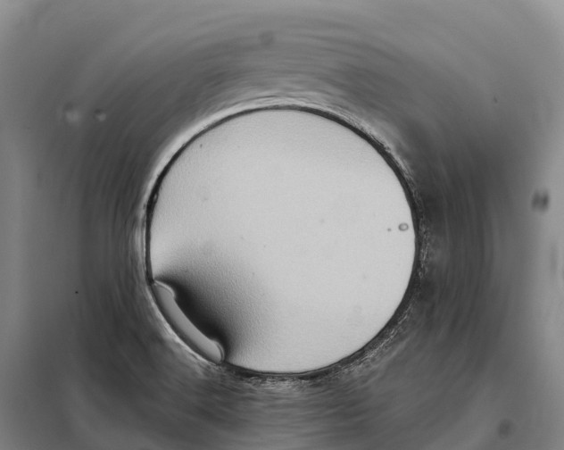 X0000098011516200804251102