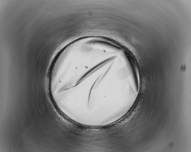 X0000098011517200804251102