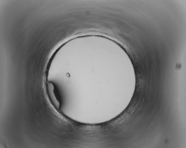 X0000098011518200804251103