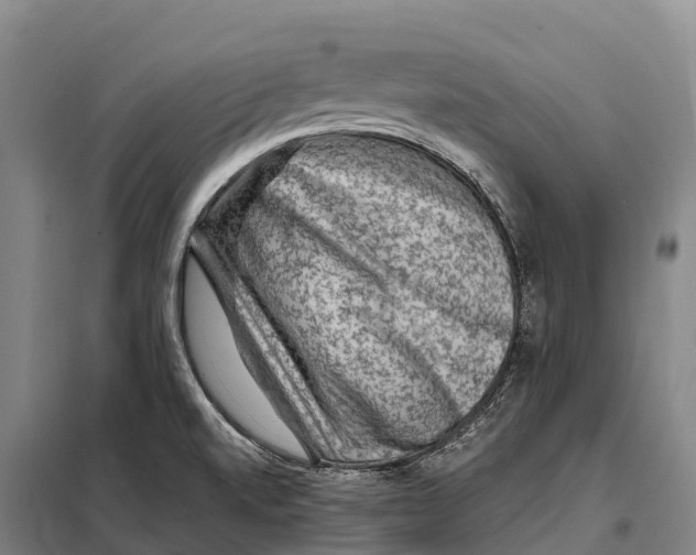 X0000098011520200804251103