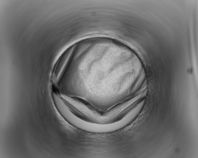 X0000098011524200804251103