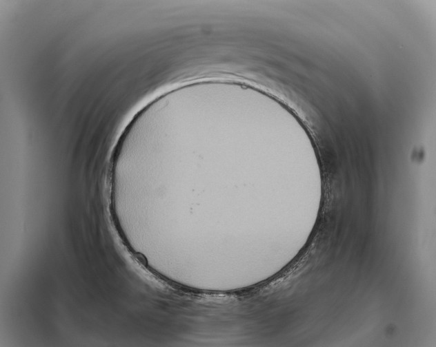 X0000098011526200804251103