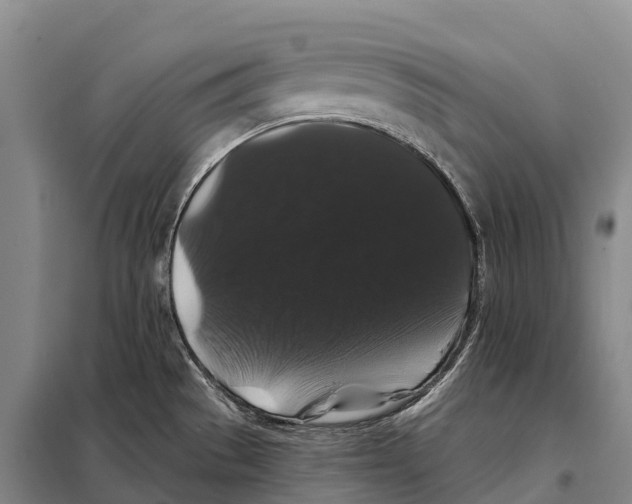 X0000098011529200804251103