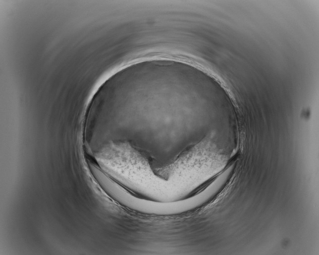 X0000098011530200804251103