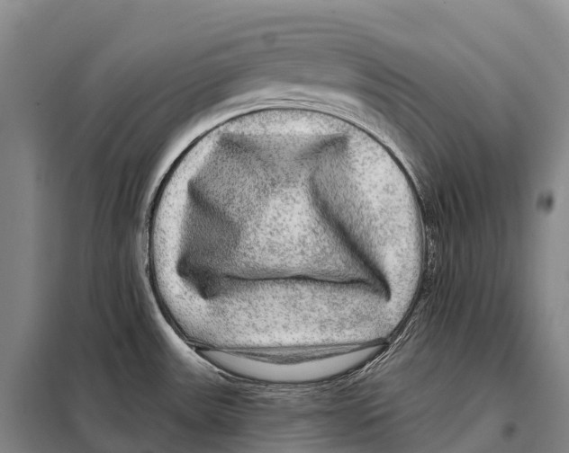 X0000098011531200804251103