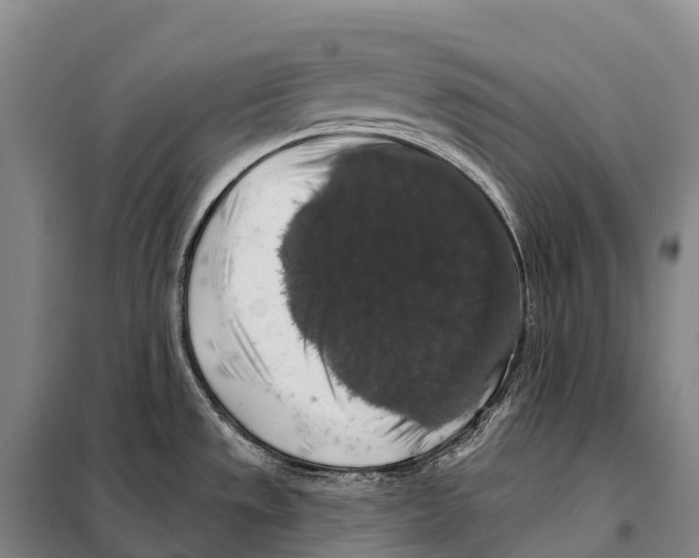 X0000098011533200804251103