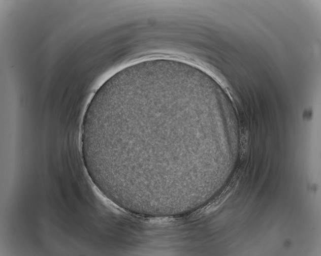 X0000098011535200804251103