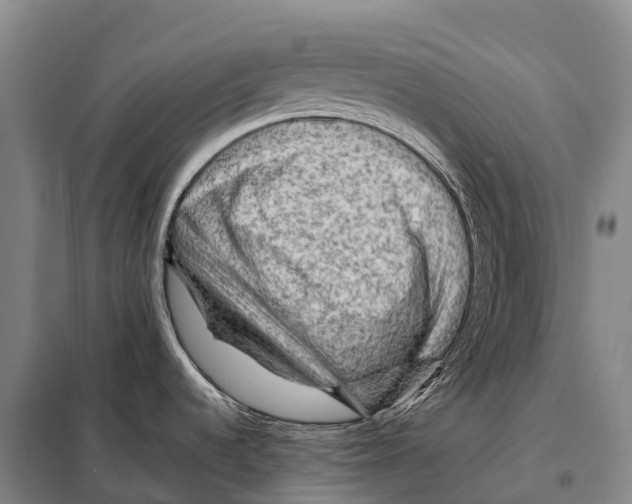 X0000098011536200804251103