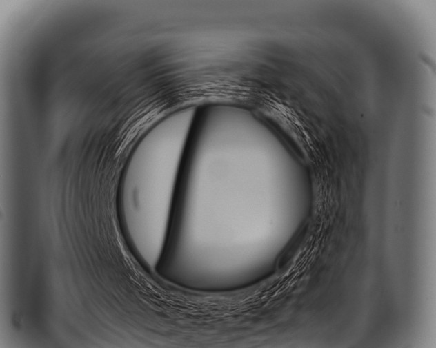 X0000098020001200803280804