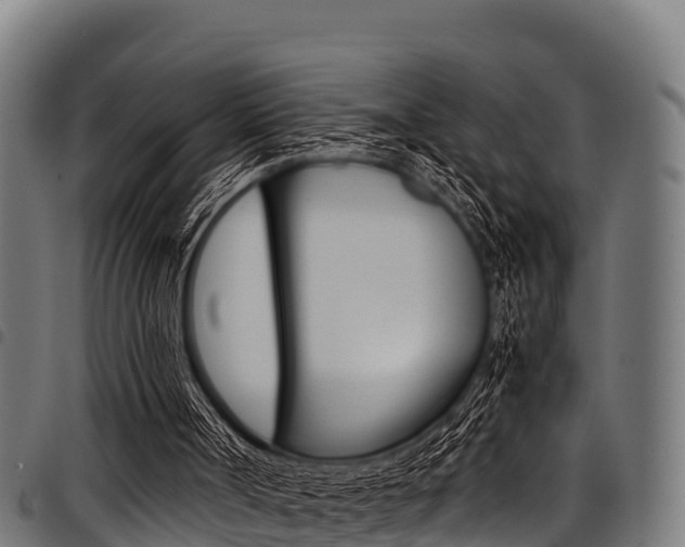 X0000098020002200803280804