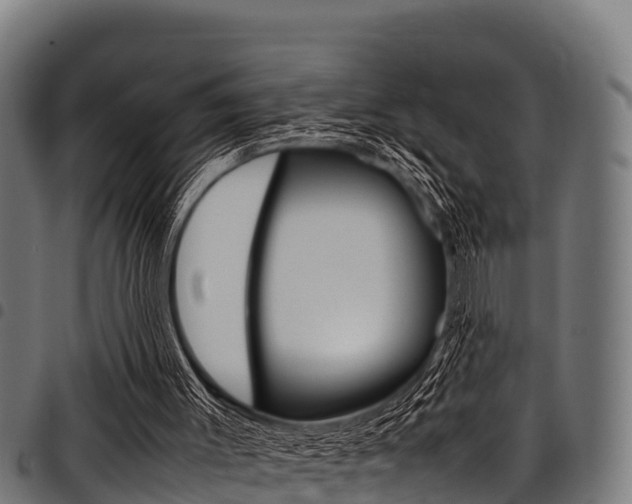 X0000098020003200803280804