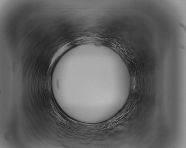 X0000098020004200803280804