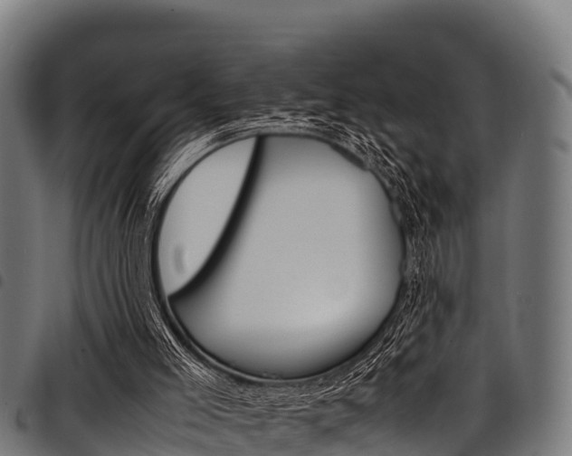 X0000098020005200803280804