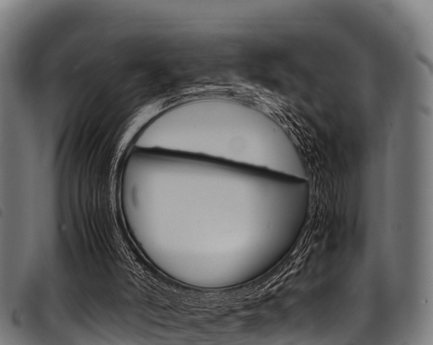 X0000098020006200803280804