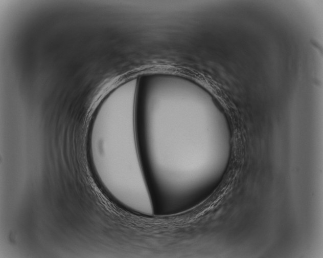 X0000098020007200803280804