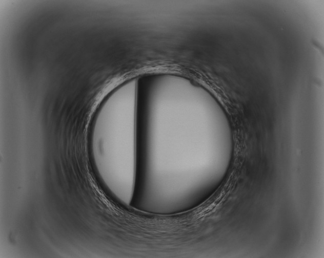 X0000098020008200803280804