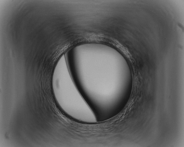 X0000098020009200803280804