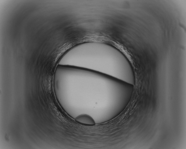 X0000098020010200803280803