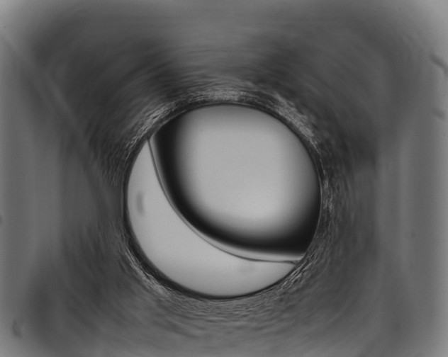 X0000098020013200803280803