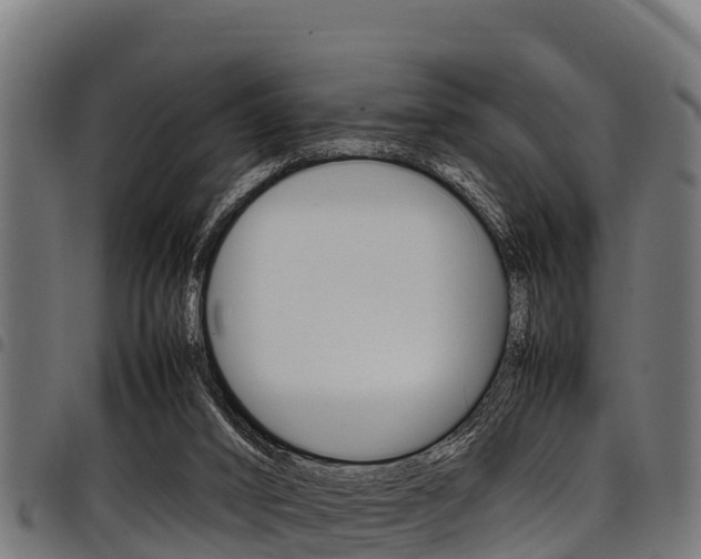 X0000098020016200803280803