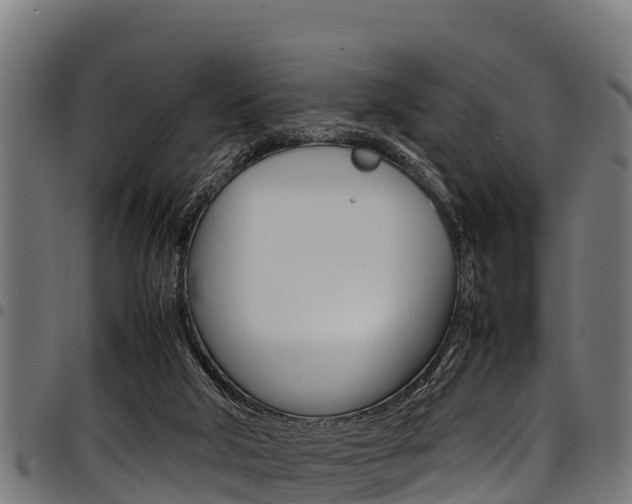 X0000098020018200803280803