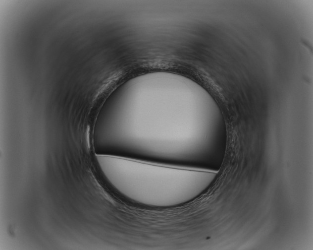 X0000098020020200803280803