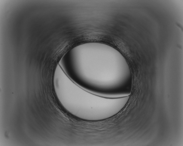 X0000098020021200803280803