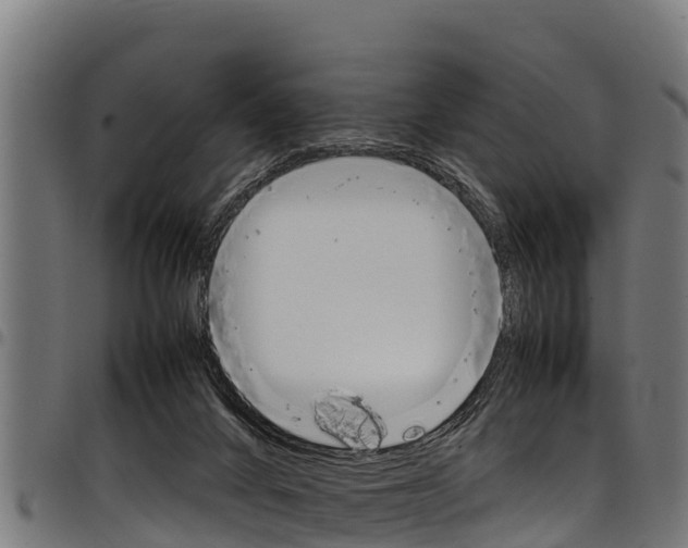 X0000098020024200803280803