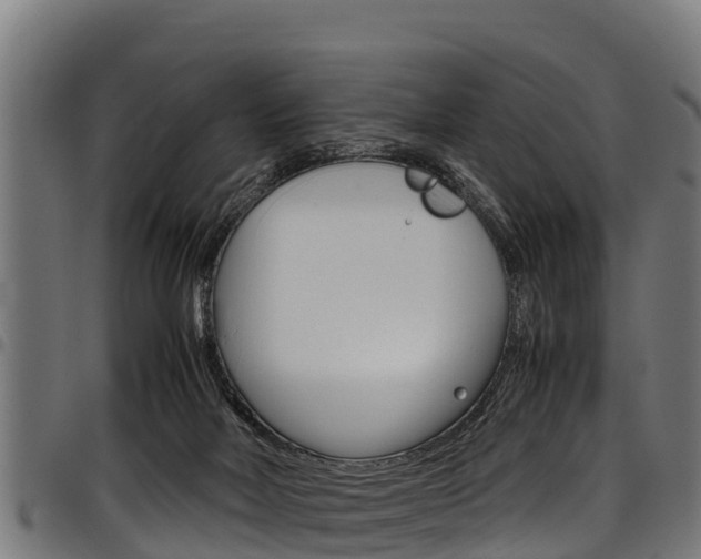 X0000098020026200803280803