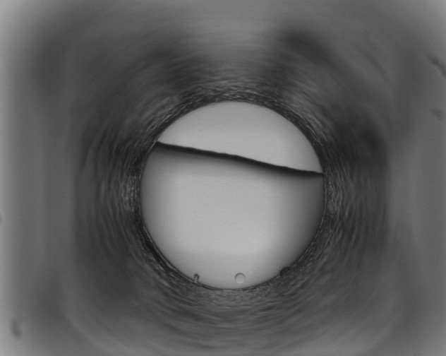 X0000098020034200803280803