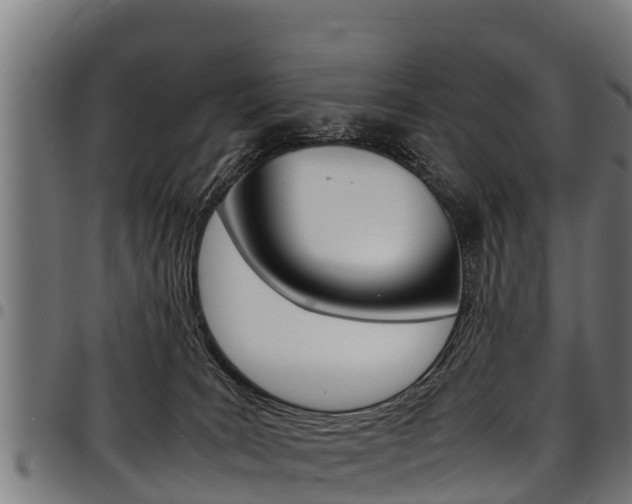 X0000098020035200803280803