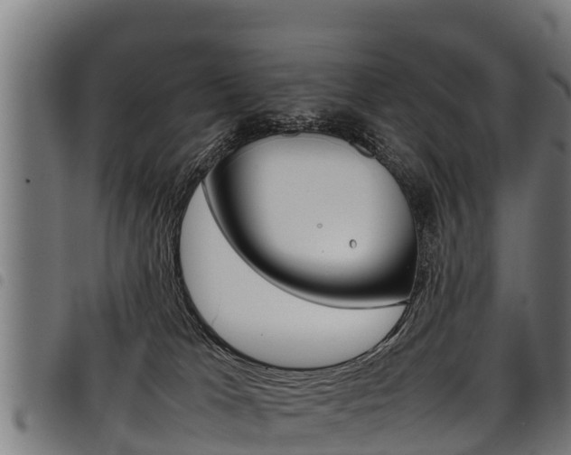 X0000098020037200803280803