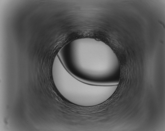 X0000098020039200803280803