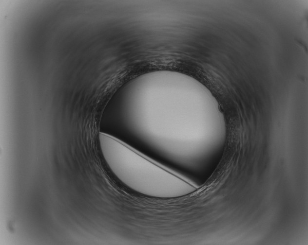 X0000098020040200803280803