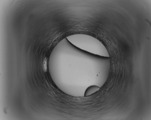 X0000098020042200803280803