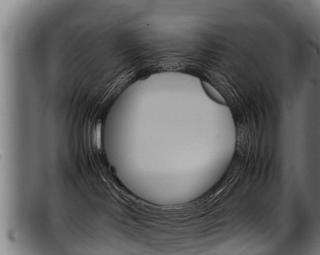 X0000098020046200803280803