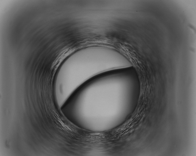 X0000098020050200803280802